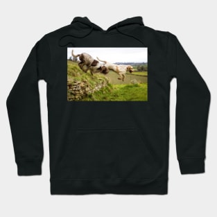 Leaping off a Long Barrow Spinoni Hoodie